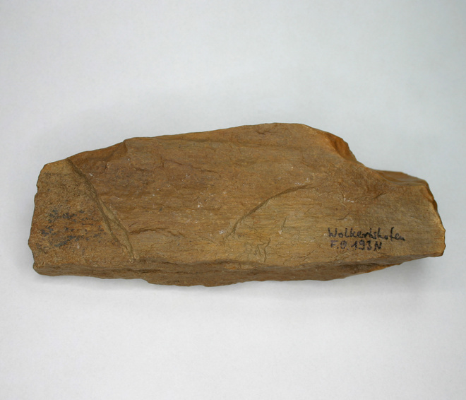 Kivettynyt puu Wolkertshofen Saksa n.1/4kg 134mm