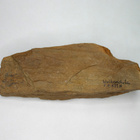 Kivettynyt puu Wolkertshofen Saksa n.1/4kg 134mm - pikkukuva 1