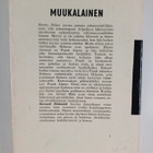 Bernard Malamud : Muukalainen - pikkukuva 2