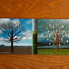 Biffy Clyro - Opposites ( 2CD+DVD ) - pikkukuva 2
