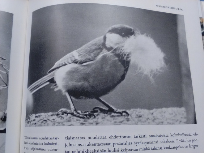 Elämää vaistojen varassa - Kalevi Raitasuo 1.p (sid.)