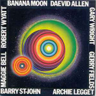 DAEVID ALLEN - Banana Moon v.1971 (1999) - pikkukuva 1