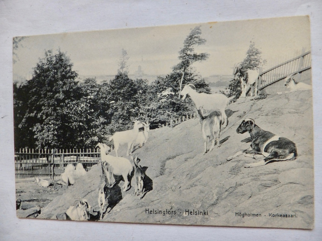 VANHA Postikortti Helsinki Korkeasaari 1900-l