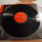 Alice in chains - Dirt LP. NM 2009 - pikkukuva 5