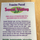 Francine Pascal : Sweet Valley sarjan kirjapaketti 90-luku - pikkukuva 2