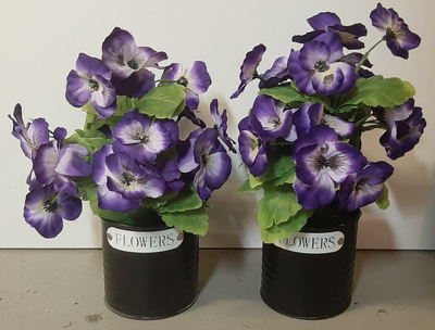 2x kangasorvokki Flowers-ruukussa