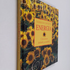 Cynthia Blanche : Energia : elinvoimaa keholle ja mielelle - pikkukuva 1