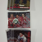 1994-95 Classic Women of Hockey #W1-W40 - pikkukuva 1