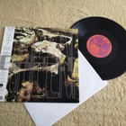 GREENMACHiNE - The Earth Beater 10" - pikkukuva 2