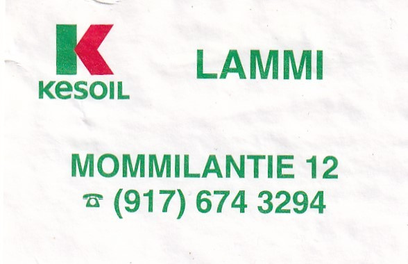 Lammi, Mommilantie 12 , Kesoil      s9/2