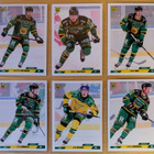 2023-24 Cardset Series 2 Ilves Team Set 12 korttia (205-216) - pikkukuva 2