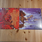 Mark Knopfler – Privateering 2lp orig 2012 upea - pikkukuva 4