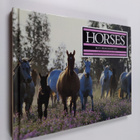 Kit Houghton : Horses - pikkukuva 1