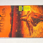 Alice In Chains - LP, Yellow LTD, uusi - pikkukuva 3