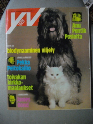 Yhteisvoimin Nro 11/1973 (29.12)