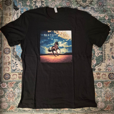 Bruce Springsteen Western stars promopaita