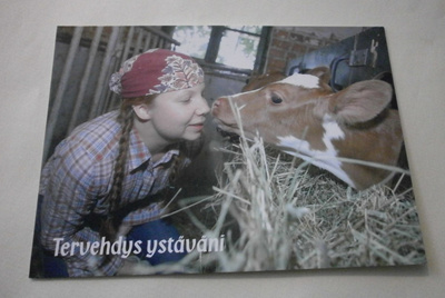 Nuori leidi & hieho, MiniMoi 2669, väripk, ei p.