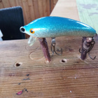 Nils Master  Finland Invincible 5cm - pikkukuva 2