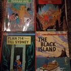 TINTIN - pikkukuva 1
