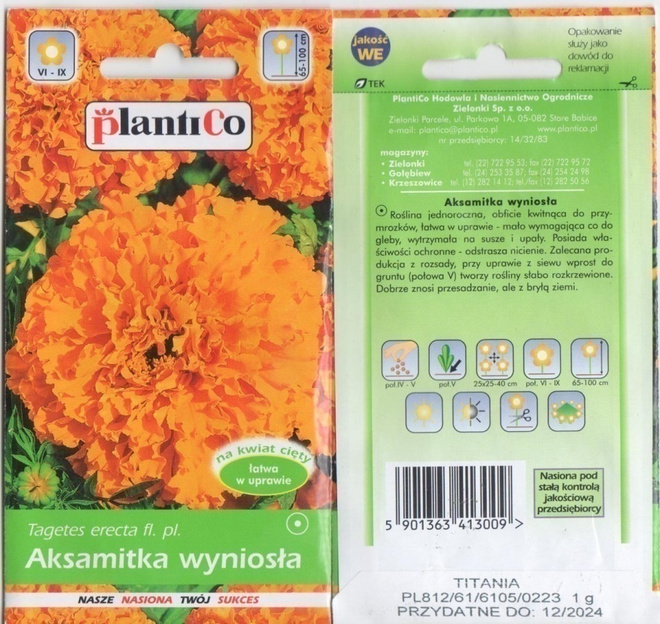 Isosamettikukka "Titania" HUOM PÄiVÄYS! Ale -50%#