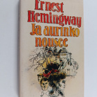 Ernest Hemingway : Ja aurinko nousee - pikkukuva 1