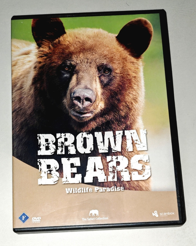 Brown Bears