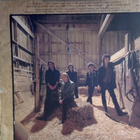 TOM PETTY  ::  SOUTHERN ACCENTS  ::  VINYYLI   LP   1985  !! - pikkukuva 2