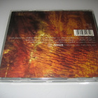 Paradise Lost - Draconian Times (CD) - pikkukuva 2