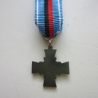 8--Divisioonan Pienoiskunniamerkki - pikkukuva 2