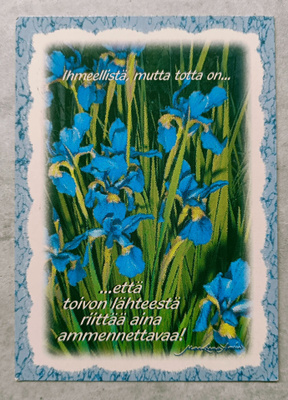 Marleena Ansio