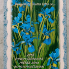 Marleena Ansio - pikkukuva 1
