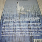 Nicholas Sparks Hääjuhla  -sid - pikkukuva 2
