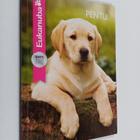 Pentu - pikkukuva 1