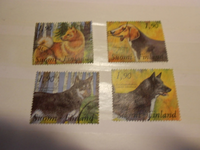 1989 kenneltoiminta sarja