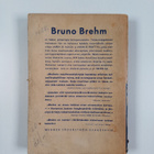 Bruno Brehm : Näin se päättyi - pikkukuva 2