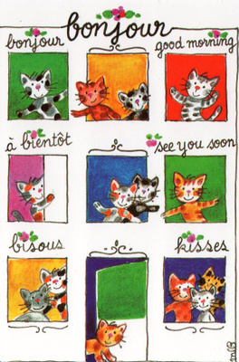 Bonjour-kissat