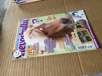 HEVOSHULLU 20/2015 +julisteet HYVÄ