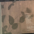 Hope Sandoval: Through The Devil Softly (2009) cd - pikkukuva 3