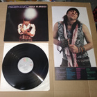 LITTLE STEVEN VOICE OF AMERICA LP - pikkukuva 1