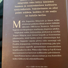 Perkeleitä ja enkeleitä - Ahlqvistien maailmat - pikkukuva 2