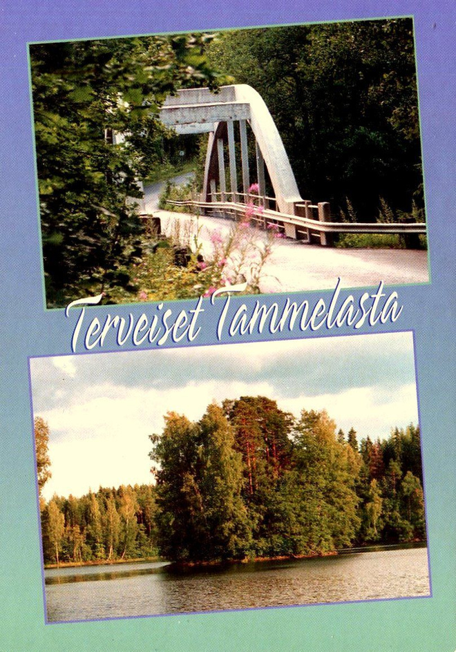 Terveiset Tammelasta, käyttämätön