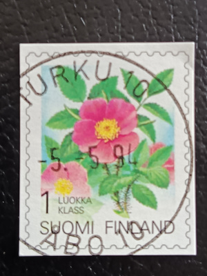 -94 Karjalan ruusu. Ep-loisto