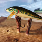 Rapala Sinking 5cm Ireland - pikkukuva 2