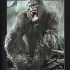 Peter Jackson: KING KONG (2005) Pidennetty versio (3DVD) - pikkukuva 1