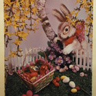 Pupu, kevätkukkia, munia, Pääsiäispk, p. 1966 - pikkukuva 1