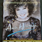 Anita Hirvonen Keikkajuliste 27 .60×42cm - pikkukuva 2