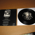 Lowdown Shakin' Chills 7" She-Devil, PS v.1991 EX/EX - pikkukuva 2