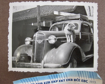 VANHA Valokuva Kiva Auto + Koira 1930-l