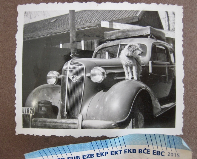 VANHA Valokuva Kiva Auto + Koira 1930-l