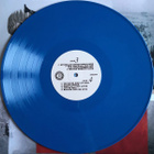 Luke Haines & Peter Buck – All The Kids Are Super Bummed Out - pikkukuva 5